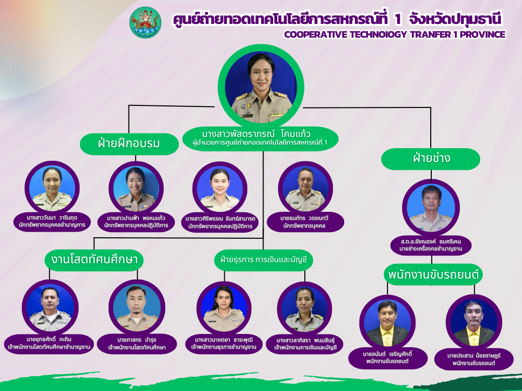 Neutral Beige Minimalist Company Organizational Chart