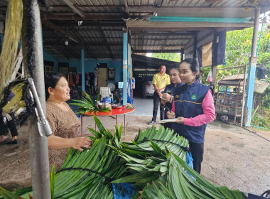 ร่วมลงพื้นที่เยี่ยมสมาชิกที่ปลูกเตยหอมของสหกรณ์การเกษตรคลองหลวง จำกัด ... พารามิเตอร์รูปภาพ 3