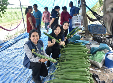 ศูนย์ฯ 1 ร่วมเปิดตลาด &quot;กิน อยู่ ดี&quot; ภายใต้แนวทางตลาดนำ ... พารามิเตอร์รูปภาพ 13