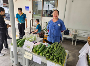 ศูนย์ฯ 1 ร่วมเปิดตลาด &quot;กิน อยู่ ดี&quot; ภายใต้แนวทางตลาดนำ ... พารามิเตอร์รูปภาพ 8