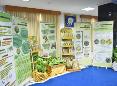 **ศูนย์ มุ่งสู่อัตลักษณ์ “Training Hub” ... พารามิเตอร์รูปภาพ 5