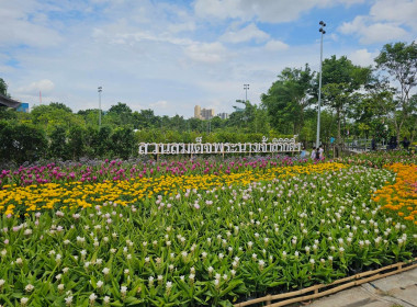 สมเด็จพระกนิษฐาธิราชเจ้า กรมสมเด็จพระเทพรัตนราชสุดา ฯ ... พารามิเตอร์รูปภาพ 13