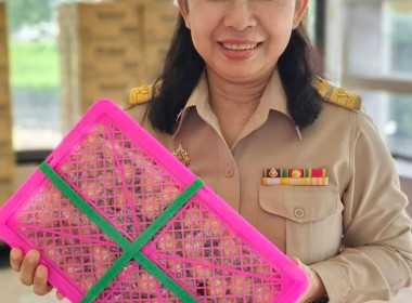 ศูนย์ฯ ... พารามิเตอร์รูปภาพ 4