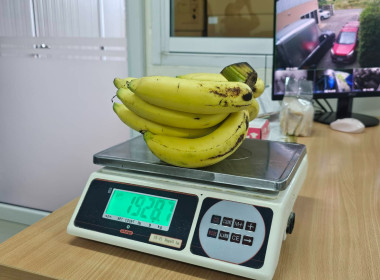 ศูนย์ฯ ... พารามิเตอร์รูปภาพ 7