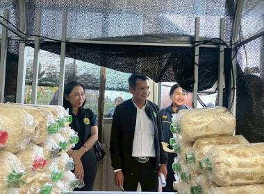 ศูนย์ฯ 1 ... พารามิเตอร์รูปภาพ 10