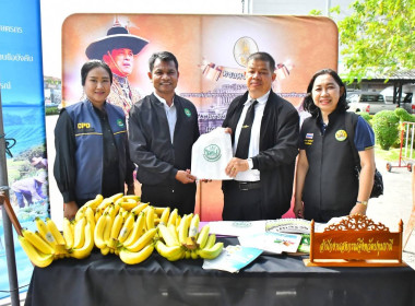 ร้อยเอก ธรรมนัส พรหมเผ่า รองนายกรัฐมนตรี ... พารามิเตอร์รูปภาพ 10