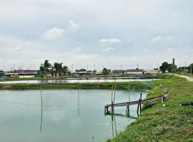 ศูนย์ฯ 1 เข้าร่วมโครงการส่งเสริมอาชีพ ... พารามิเตอร์รูปภาพ 11