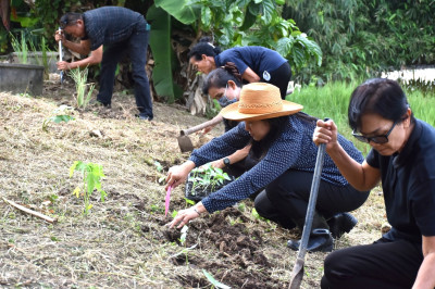 ศูนย์ฯ 1 เพิ่มพื้นที่ปลูกผักปลอดภัย ลดรายจ่ายค่าครองชีพ ... พารามิเตอร์รูปภาพ 1