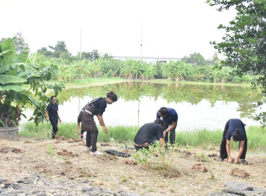 ศูนย์ฯ 1 เพิ่มพื้นที่ปลูกผักปลอดภัย ลดรายจ่ายค่าครองชีพ ... พารามิเตอร์รูปภาพ 11