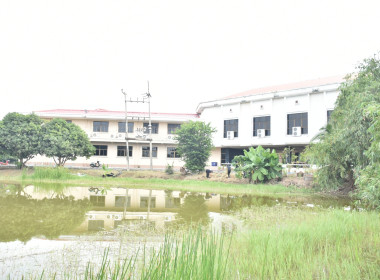 ศูนย์ฯ 1 เพิ่มพื้นที่ปลูกผักปลอดภัย ลดรายจ่ายค่าครองชีพ ... พารามิเตอร์รูปภาพ 14