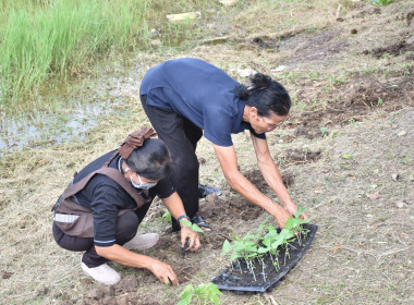 ศูนย์ฯ 1 เพิ่มพื้นที่ปลูกผักปลอดภัย ลดรายจ่ายค่าครองชีพ ... พารามิเตอร์รูปภาพ 3