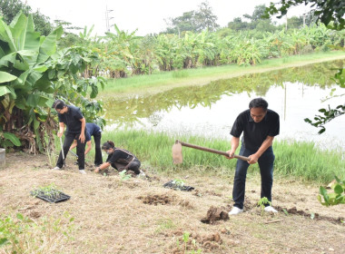ศูนย์ฯ 1 เพิ่มพื้นที่ปลูกผักปลอดภัย ลดรายจ่ายค่าครองชีพ ... พารามิเตอร์รูปภาพ 4