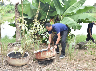 ศูนย์ฯ 1 เพิ่มพื้นที่ปลูกผักปลอดภัย ลดรายจ่ายค่าครองชีพ ... พารามิเตอร์รูปภาพ 5