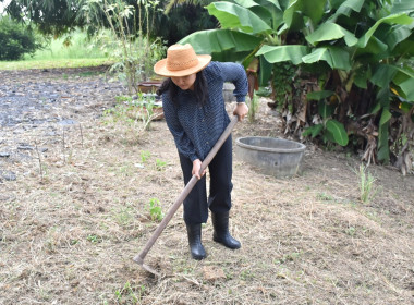 ศูนย์ฯ 1 เพิ่มพื้นที่ปลูกผักปลอดภัย ลดรายจ่ายค่าครองชีพ ... พารามิเตอร์รูปภาพ 7