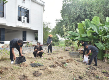 ศูนย์ฯ 1 เพิ่มพื้นที่ปลูกผักปลอดภัย ลดรายจ่ายค่าครองชีพ ... พารามิเตอร์รูปภาพ 8