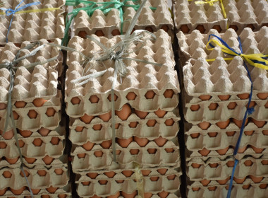 ศูนย์ฯ 1 ร่วมขนไข่ไก่ 8,400 ฟอง ... พารามิเตอร์รูปภาพ 14