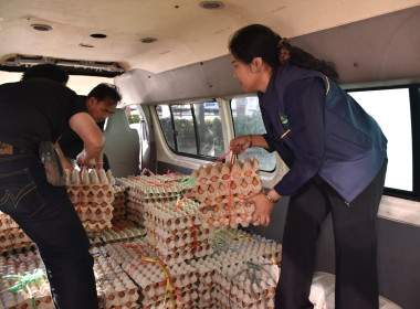 ศูนย์ฯ 1 ร่วมขนไข่ไก่ 8,400 ฟอง ... พารามิเตอร์รูปภาพ 2