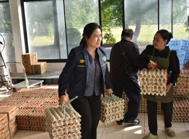 ศูนย์ฯ 1 ร่วมขนไข่ไก่ 8,400 ฟอง ... พารามิเตอร์รูปภาพ 3