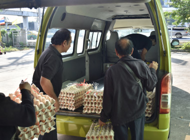 ศูนย์ฯ 1 ร่วมขนไข่ไก่ 8,400 ฟอง ... พารามิเตอร์รูปภาพ 4