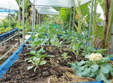 ศูนย์ฯ​ 1​ ... พารามิเตอร์รูปภาพ 6