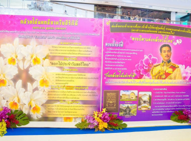 ศูนย์ฯ​1 ร่วมพิธีเปิดงาน “วันกล้วยไม้แห่งชาติ” ประจำปี 2569 พารามิเตอร์รูปภาพ 7