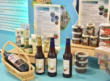 ศูนย์ฯ 1 ... พารามิเตอร์รูปภาพ 19