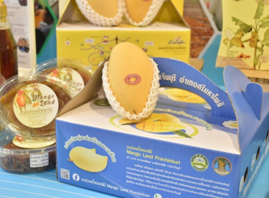 ศูนย์ฯ 1 ... พารามิเตอร์รูปภาพ 21