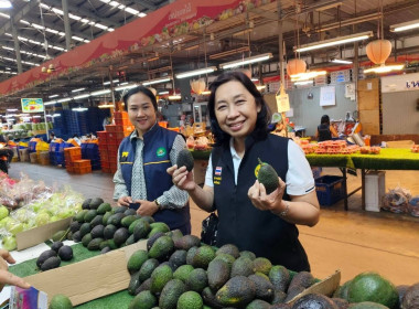 ศูนย์ฯ​ 1 ... พารามิเตอร์รูปภาพ 10