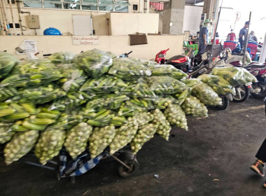 ศูนย์ฯ​ 1 ... พารามิเตอร์รูปภาพ 13