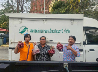 ศูนย์ฯ 1 จัดประชุมกลุ่มสมาชิกสหกรณ์การเกษตรเมืองปทุมธานี ... พารามิเตอร์รูปภาพ 17