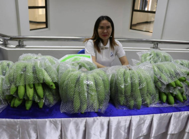 ศูนย์ฯ 1 ร่วมกับสำนักงานสหกรณ์จังหวัดปทุมธานี ... พารามิเตอร์รูปภาพ 29