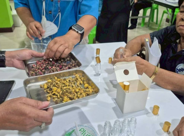 ศูนย์ฯ 1 จัดโครงการสหกรณ์ รัฐ คนละครึ่ง พึ่งพิงกัน หลักสูตร ... พารามิเตอร์รูปภาพ 10