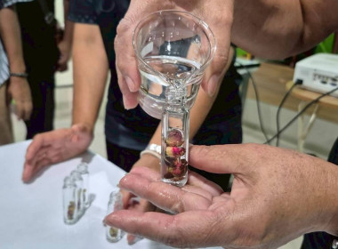 ศูนย์ฯ 1 จัดโครงการสหกรณ์ รัฐ คนละครึ่ง พึ่งพิงกัน หลักสูตร ... พารามิเตอร์รูปภาพ 15