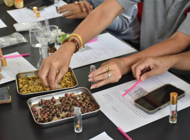 ศูนย์ฯ 1 จัดโครงการสหกรณ์ รัฐ คนละครึ่ง พึ่งพิงกัน หลักสูตร ... พารามิเตอร์รูปภาพ 16