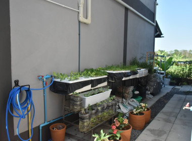 ศูนย์ฯ 1 จัดโครงการสหกรณ์ รัฐ คนละครึ่ง พึ่งพิงกัน หลักสูตร ... พารามิเตอร์รูปภาพ 24