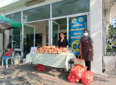 ศูนย์ฯ 1​ ร่วมกับสำนักงานสหกรณ์จังหวัดปทุมธานี ... พารามิเตอร์รูปภาพ 10