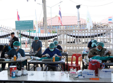 ศูนย์ฯ 1 ร่วมโครงการคลินิกเกษตรเคลื่อนที่ในพระราชานุเคราะห์ ... พารามิเตอร์รูปภาพ 23