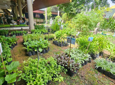 ศูนย์ฯ 1 ร่วมพิธีเปิดงานมหกรรม “สืบสาน งานพ่อ พัฒนา ... พารามิเตอร์รูปภาพ 10