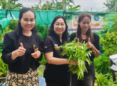 ศูนย์ฯ 1 ลงพื้นที่ติดตามความก้าวหน้าของกิจกรรม ... พารามิเตอร์รูปภาพ 2